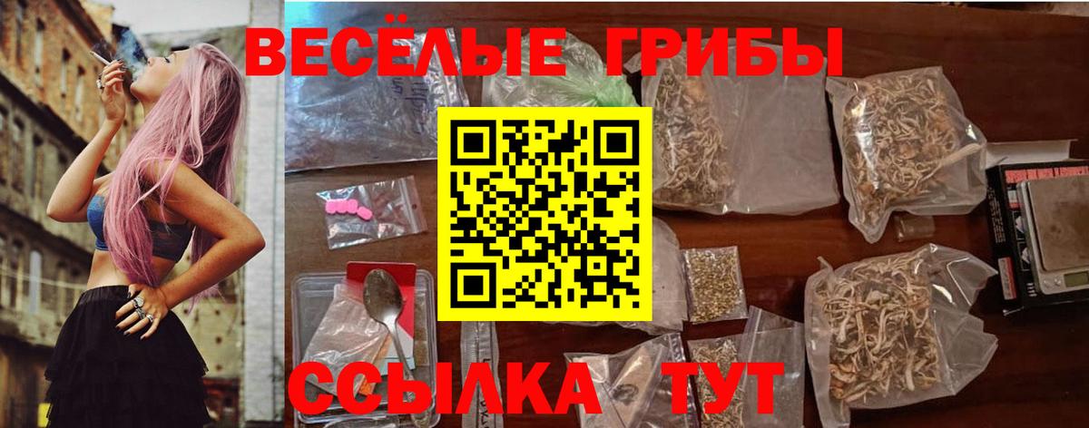 Псилоцибиновые грибы Psilocybe Артёмовский