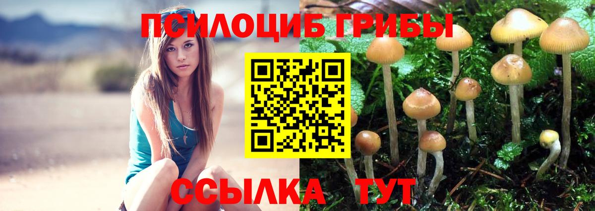 Артёмовский  Галлюциногенные грибы Psilocybe  Вход с VPN 